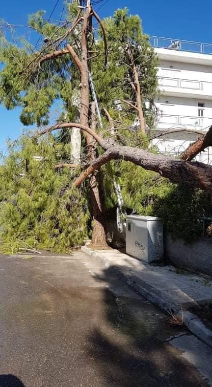 Επιτακτική ανάγκη να βγουν οι αποφάσεις για να κηρυχθεί ο Δήμος σε κατάσταση εκτάκτου ανάγκης‼️