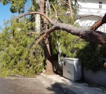 Επιτακτική ανάγκη να βγουν οι αποφάσεις για να κηρυχθεί ο Δήμος σε κατάσταση εκτάκτου ανάγκης‼️